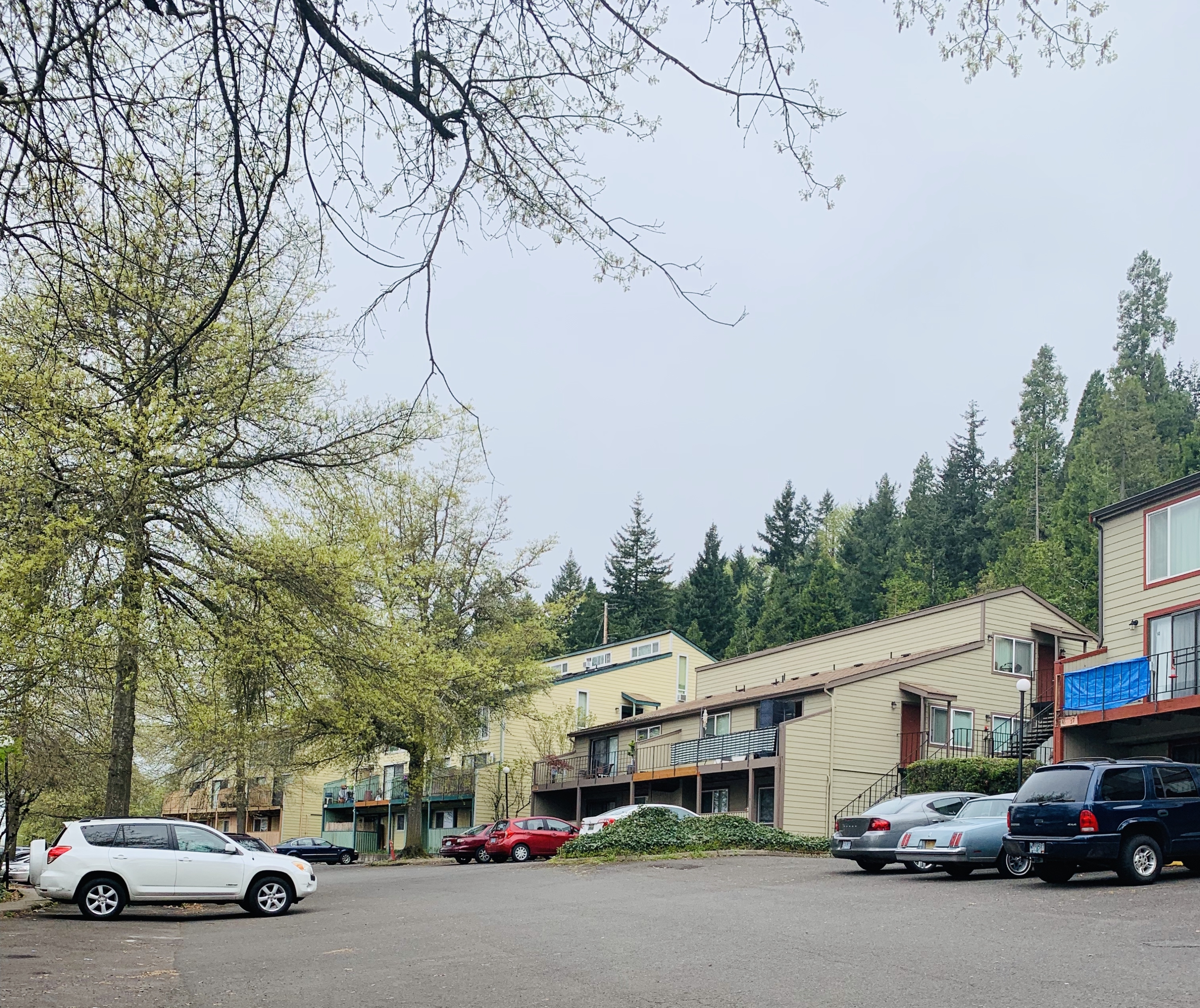 111 Shelton McMurphey Blvd Apt #25