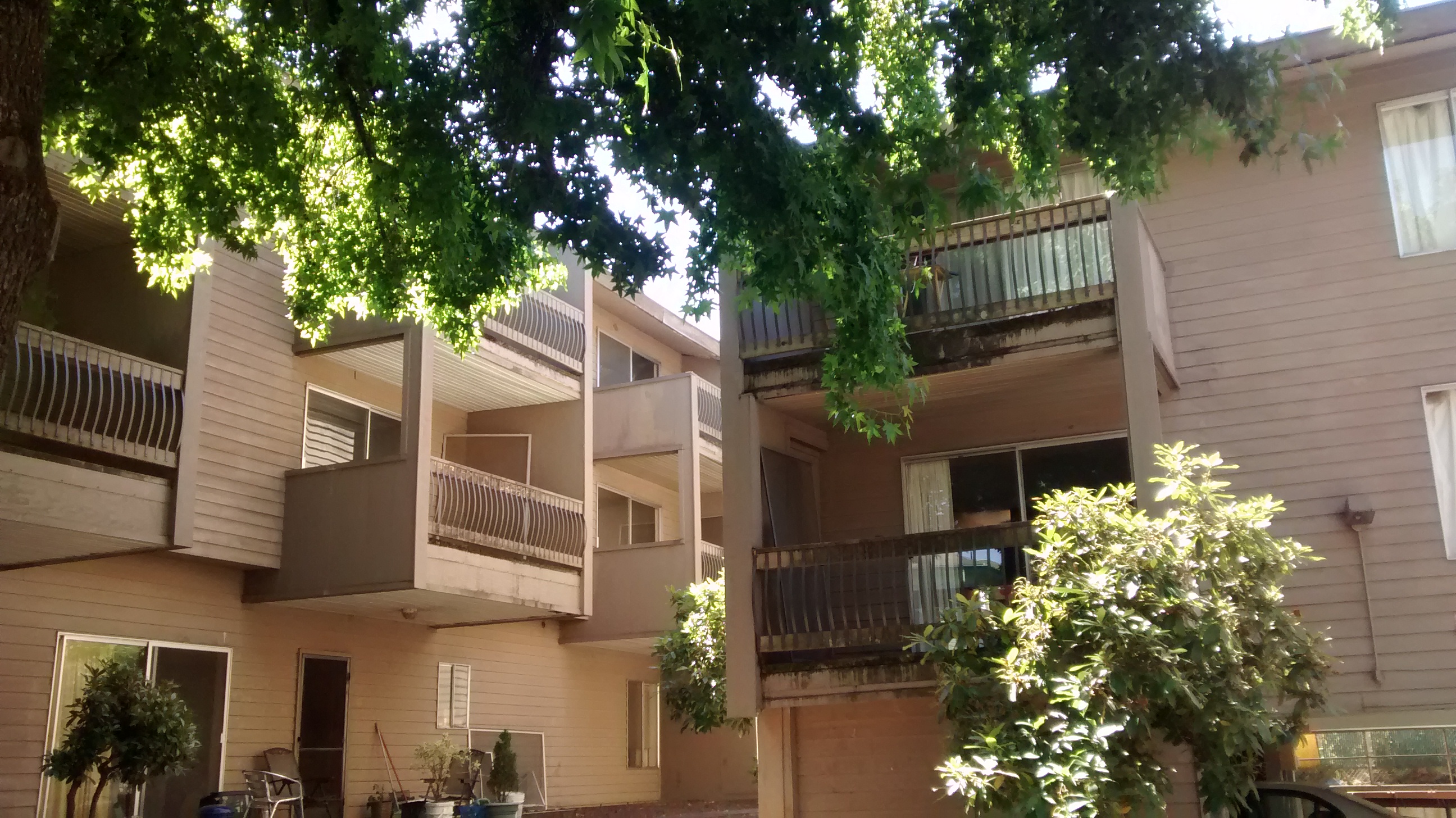 1235 Mill Street #1