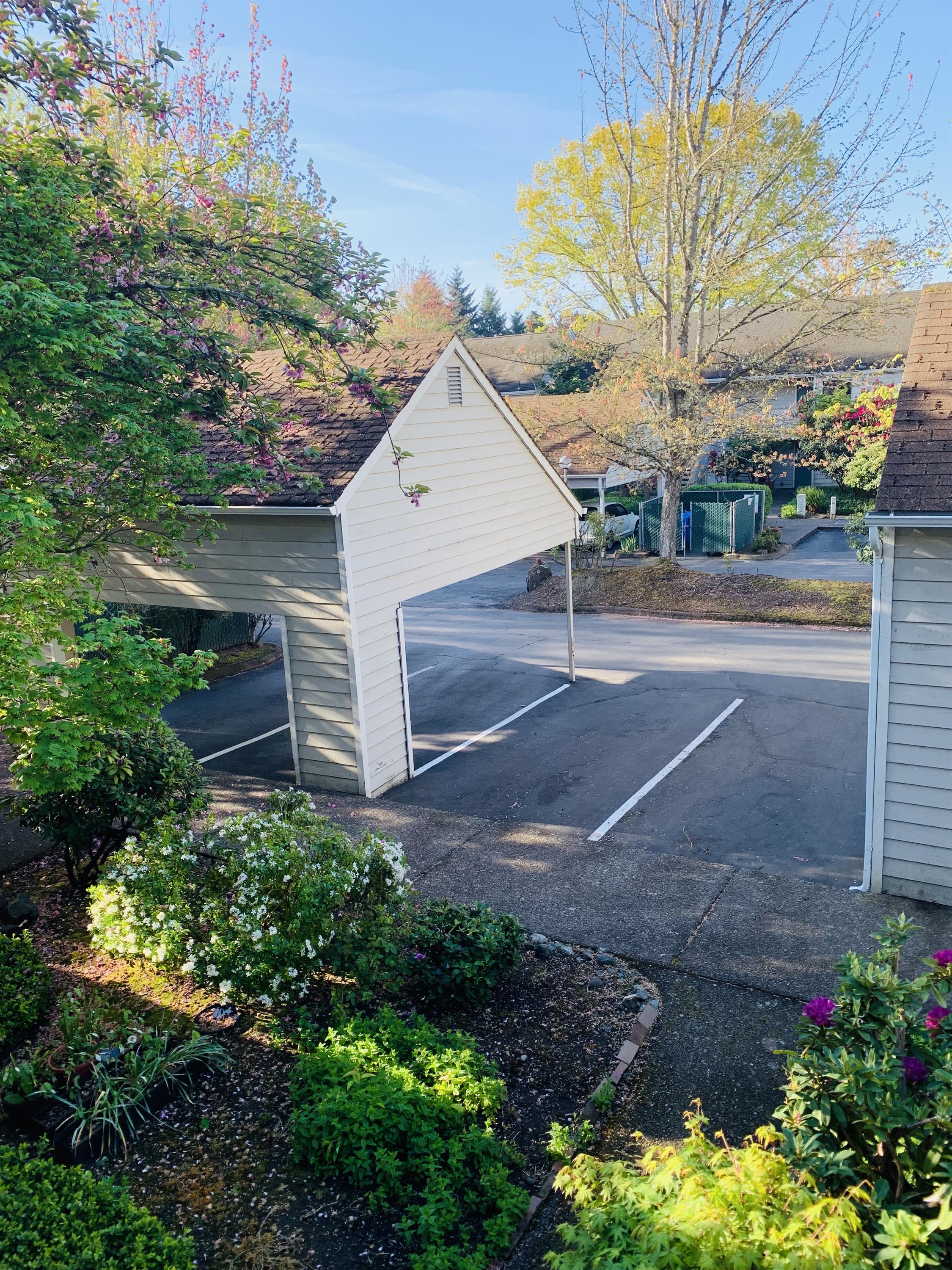 260 N. Adams Street #3